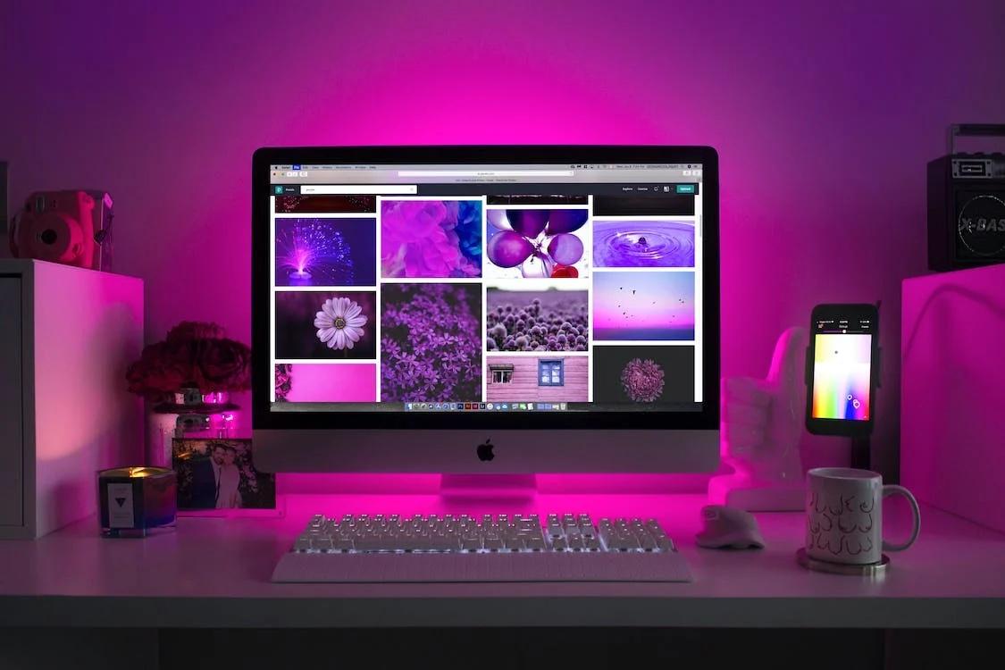 Digital skills every job seeker should learn