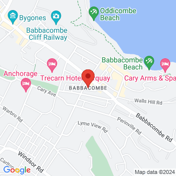 map of 50.478067,-3.5152883