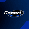 Company
