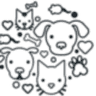 Company