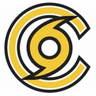 Company