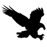 Company