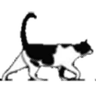 Company
